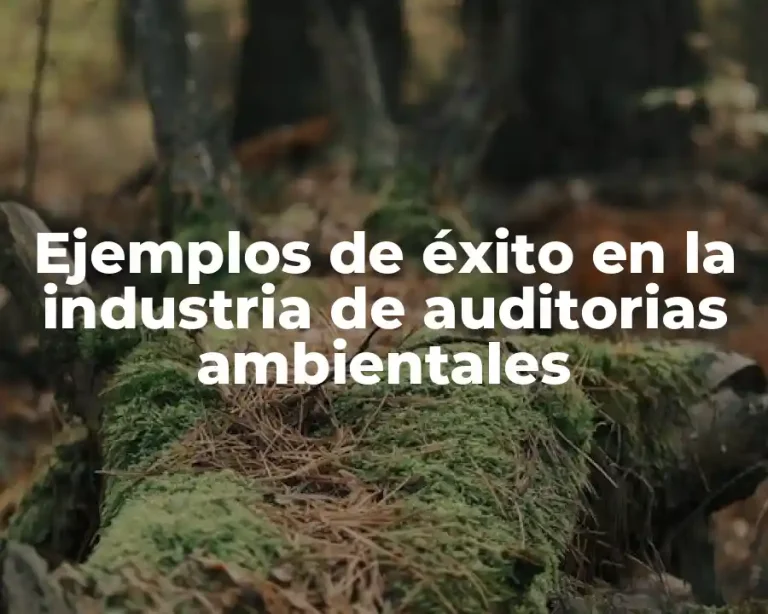 Ejemplos de éxito en la industria de auditorias ambientales