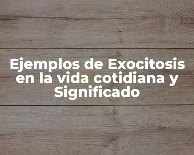 Ejemplos de Exocitosis en la vida cotidiana y Significado