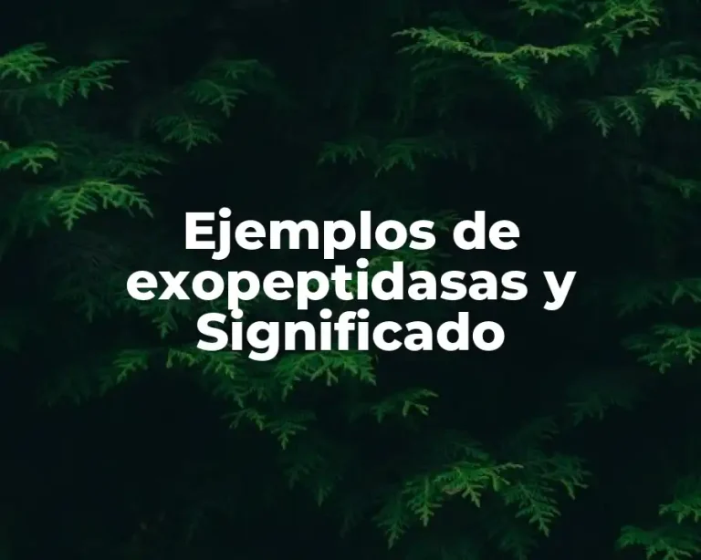Ejemplos de exopeptidasas y Significado