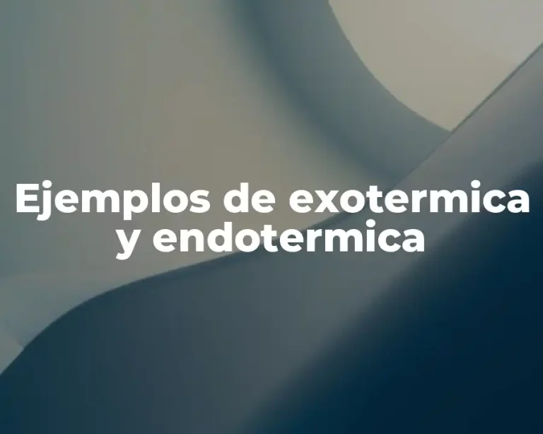 Ejemplos de exotermica y endotermica
