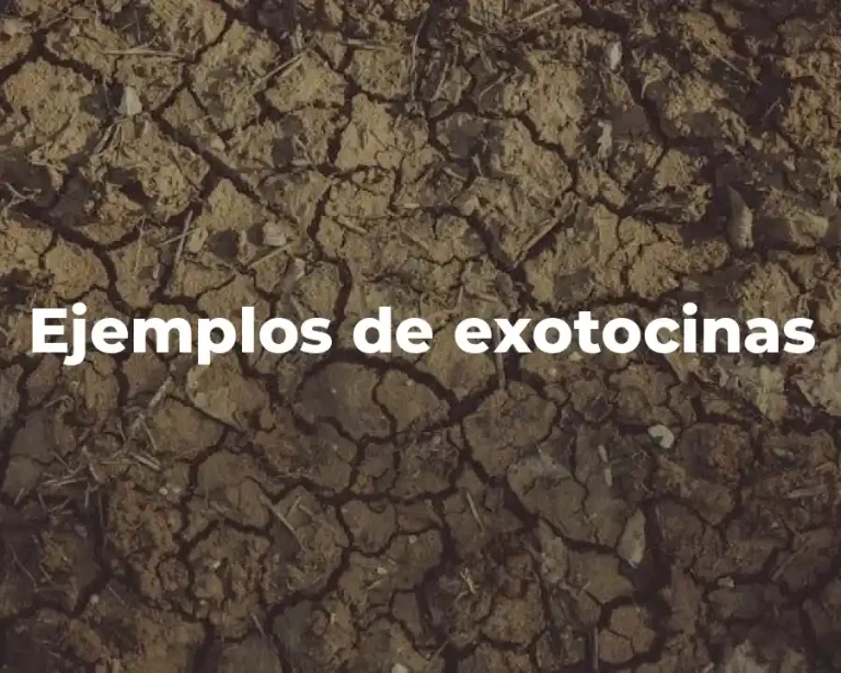 Ejemplos de exotocinas