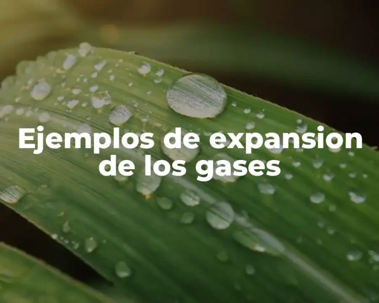 Ejemplos de expansion de los gases