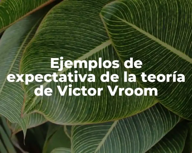 Ejemplos de expectativa de la teoría de Victor Vroom