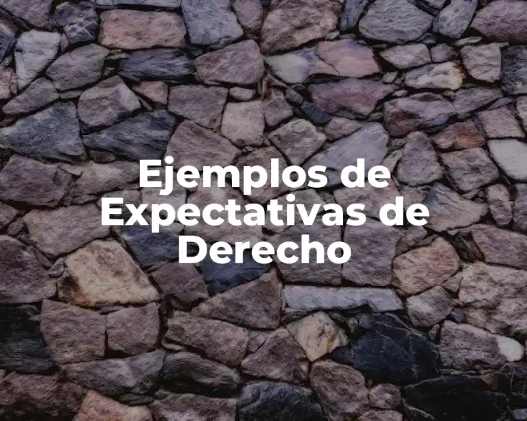 Ejemplos de Expectativas de Derecho
