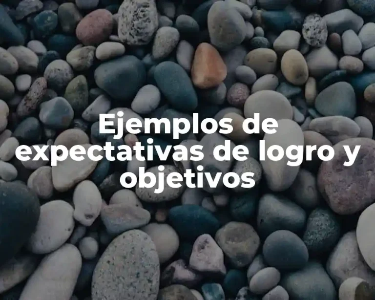 Ejemplos de expectativas de logro y objetivos