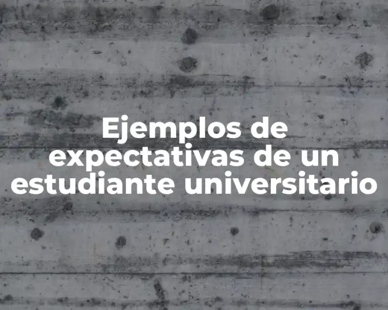 Ejemplos de expectativas de un estudiante universitario
