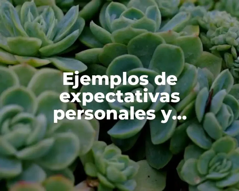 Ejemplos de expectativas personales y profesionales