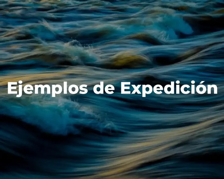 Ejemplos de Expedición