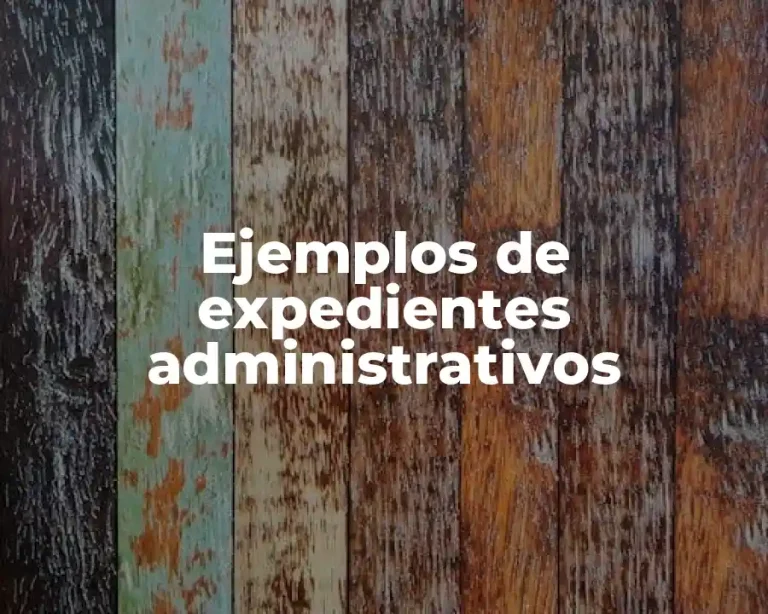 Ejemplos de expedientes administrativos