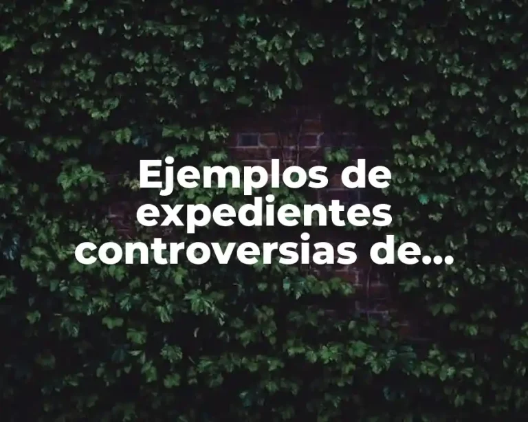 Ejemplos de expedientes controversias de sentencias en México