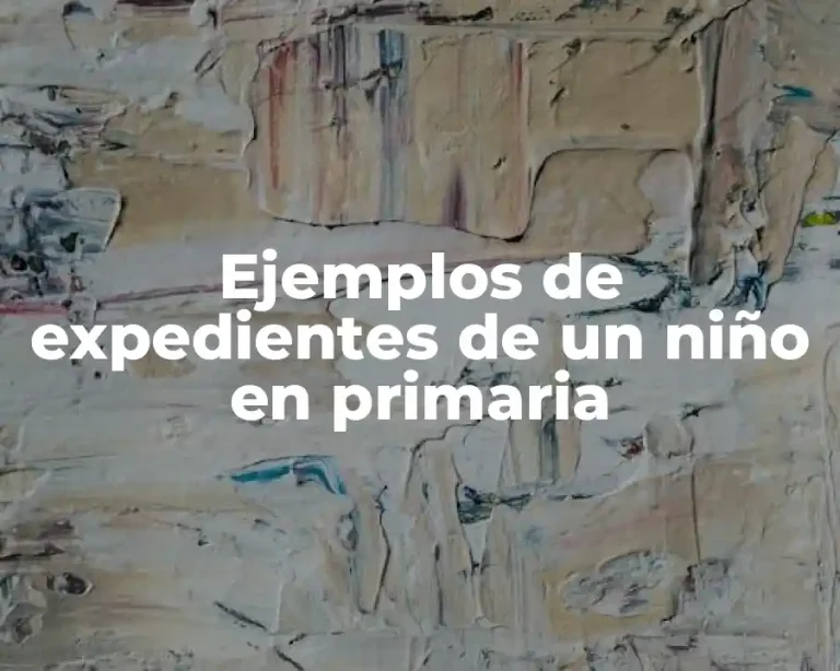 Ejemplos de expedientes de un niño en primaria