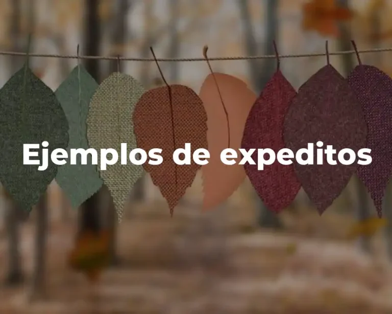 Ejemplos de expeditos