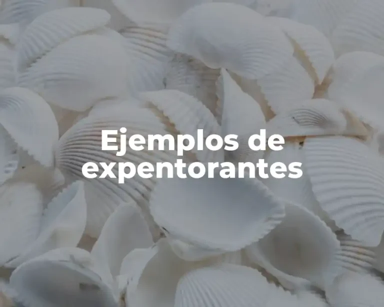 Ejemplos de expentorantes