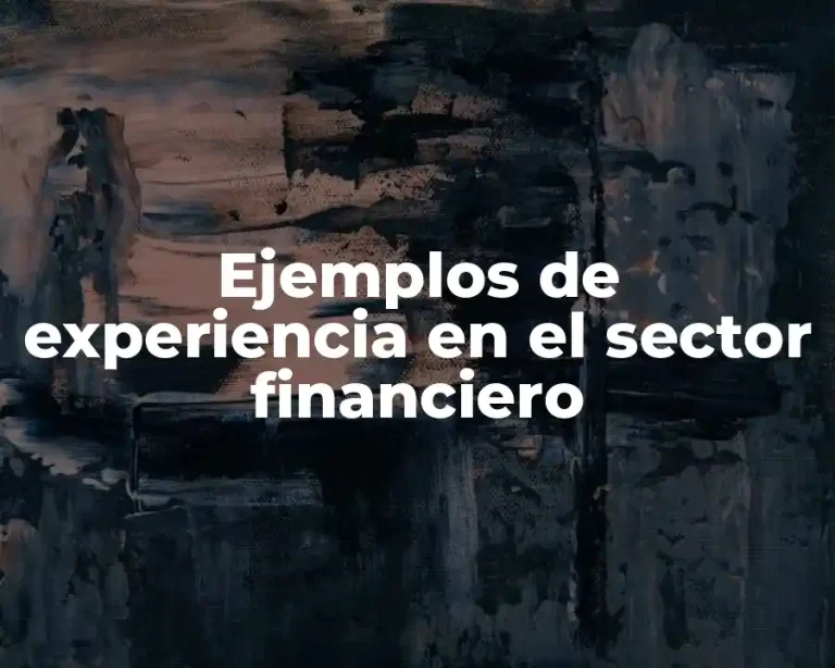 Ejemplos de experiencia en el sector financiero