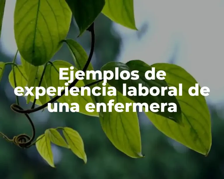 Ejemplos de experiencia laboral de una enfermera