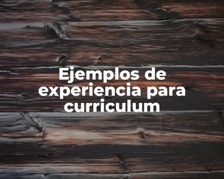 Ejemplos de experiencia para curriculum