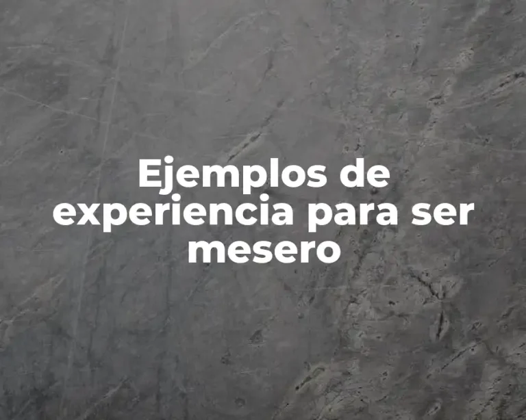 Ejemplos de experiencia para ser mesero