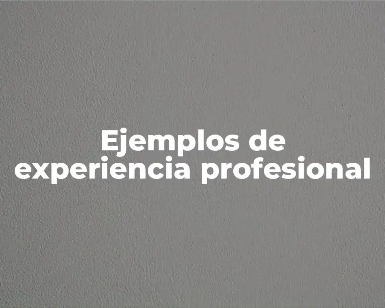 Ejemplos de experiencia profesional