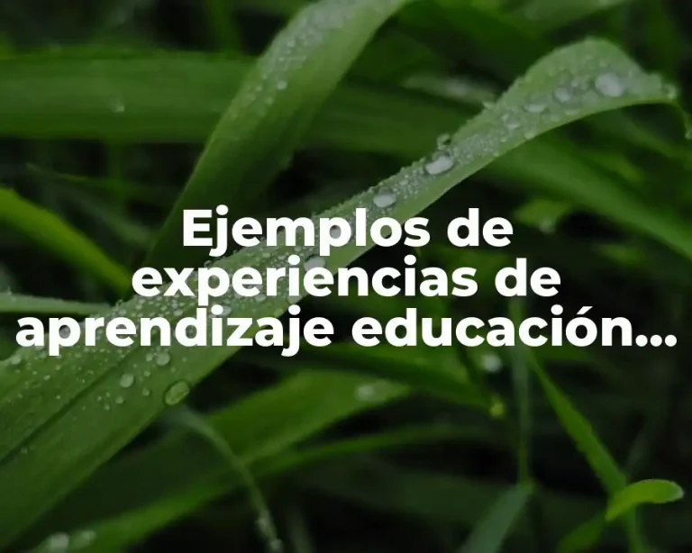 Ejemplos de experiencias de aprendizaje educación inicial