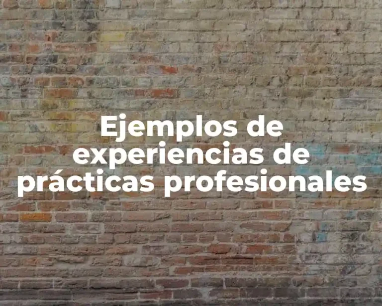 Ejemplos de experiencias de prácticas profesionales