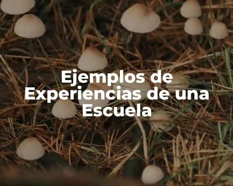 Ejemplos de Experiencias de una Escuela