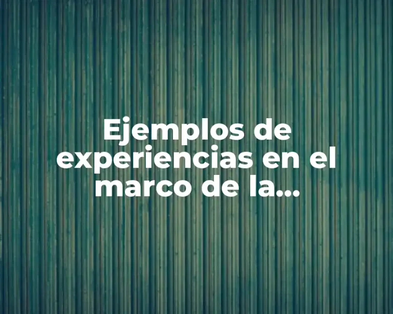 Ejemplos de experiencias en el marco de la globalización