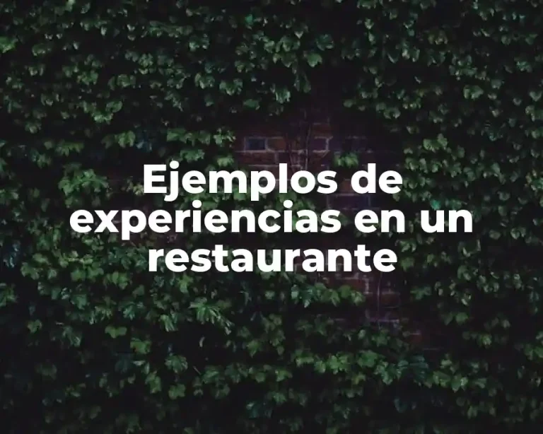 Ejemplos de experiencias en un restaurante