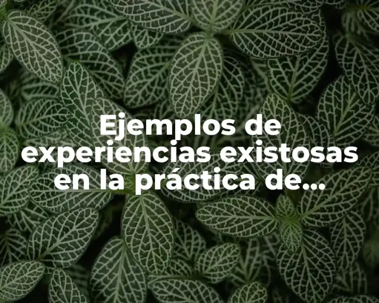 Ejemplos de experiencias existosas en la práctica de vinculación