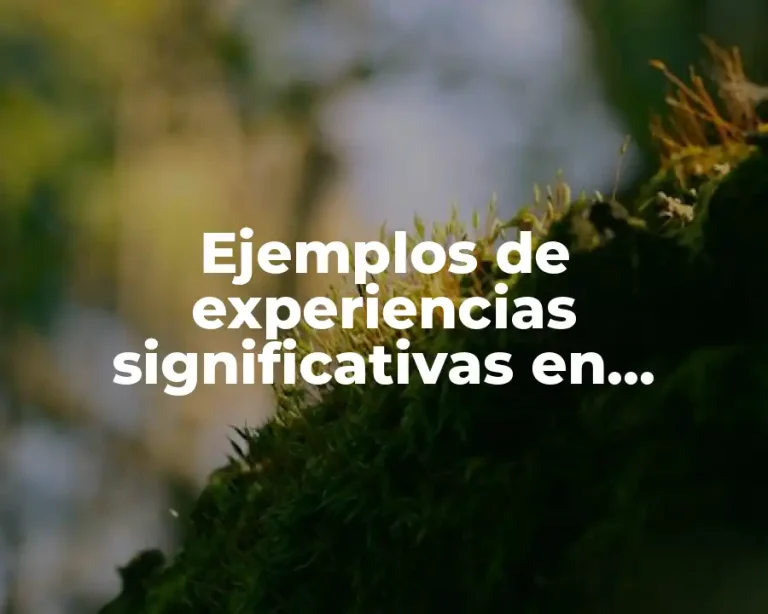 Ejemplos de experiencias significativas en preescolar