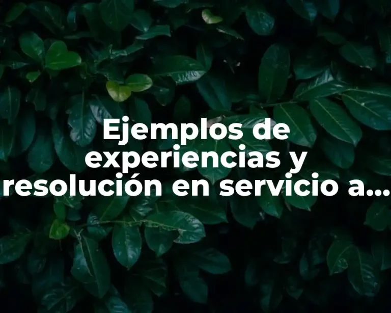 Ejemplos de experiencias y resolución en servicio a clientes