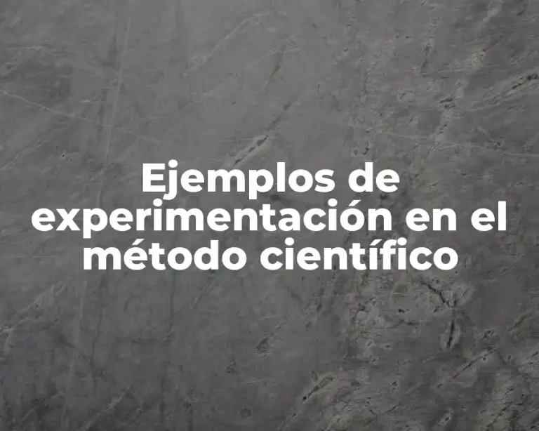 Ejemplos de experimentación en el método científico
