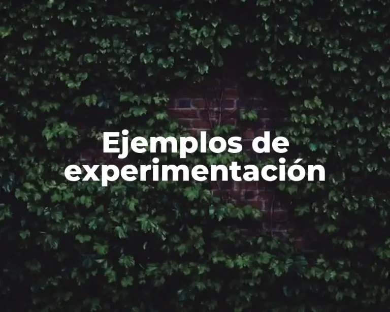 Ejemplos de experimentación