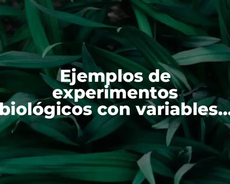 Ejemplos de experimentos biológicos con variables dependientes e independientes y Significado