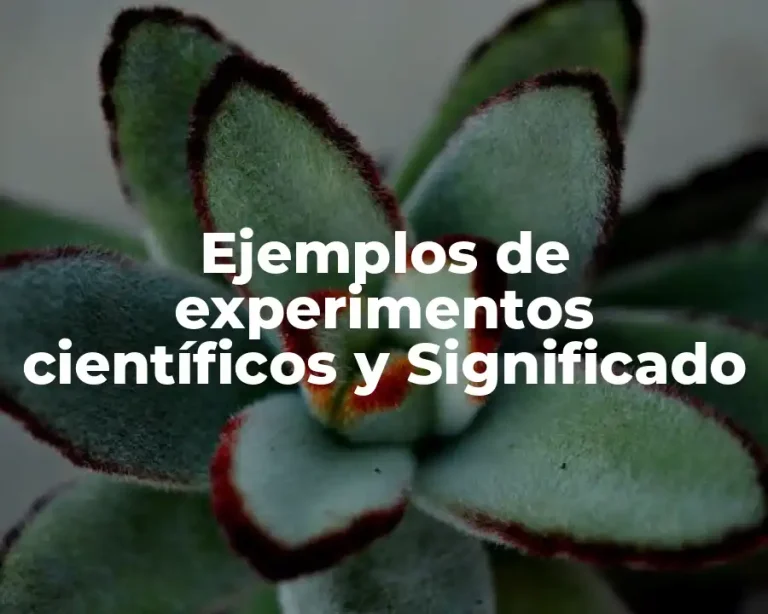 Ejemplos de experimentos científicos y Significado