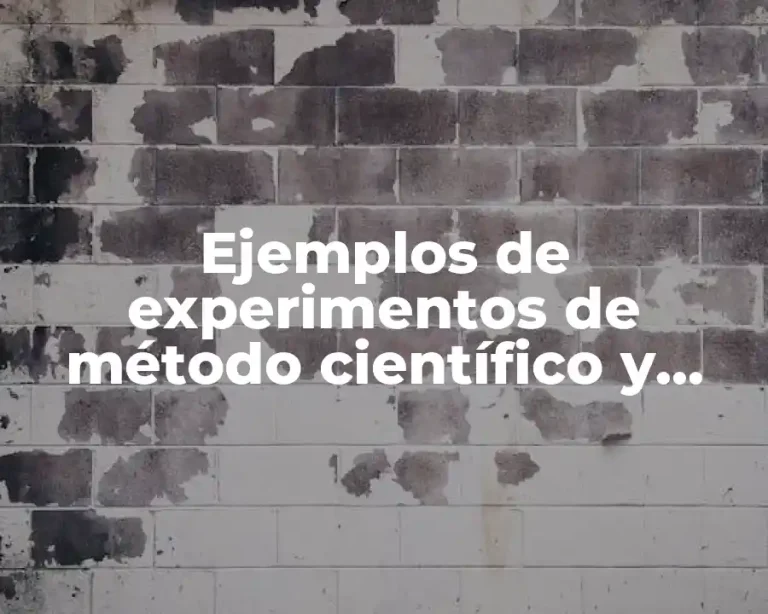 Ejemplos de experimentos de método científico y Significado