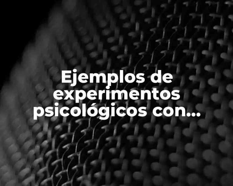 Ejemplos de experimentos psicológicos con animales