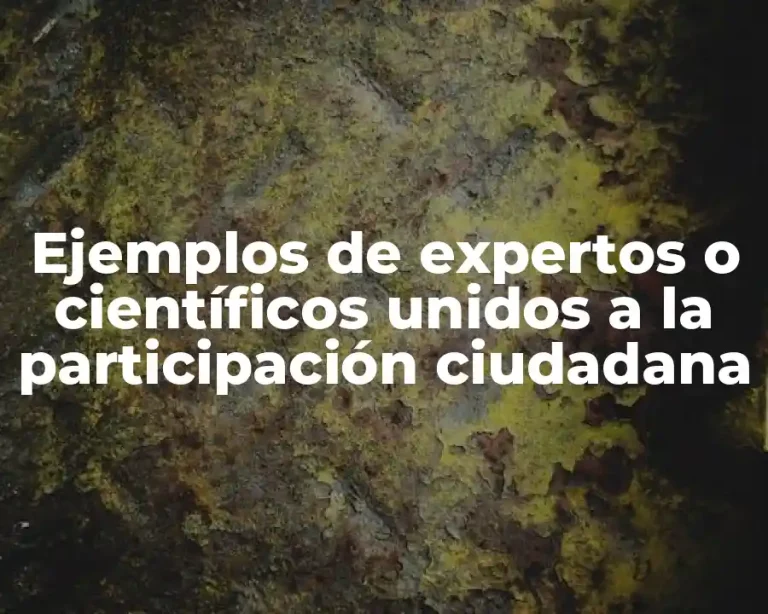 Ejemplos de expertos o científicos unidos a la participación ciudadana