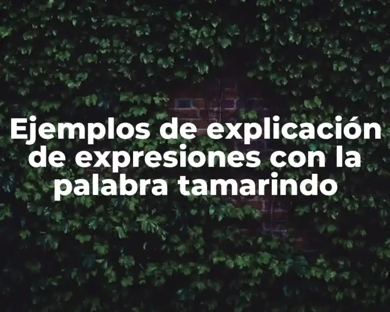 Ejemplos de explicación de expresiones con la palabra tamarindo