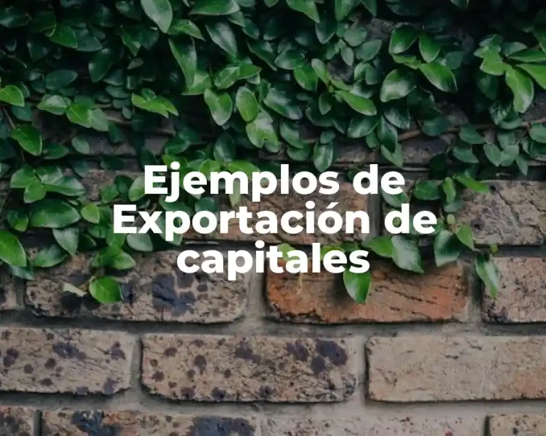 Ejemplos de Exportación de capitales