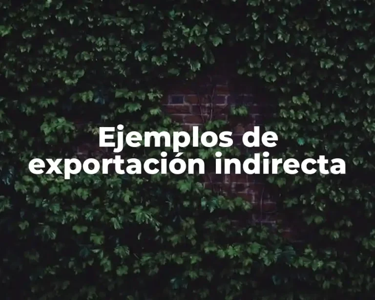 Ejemplos de exportación indirecta