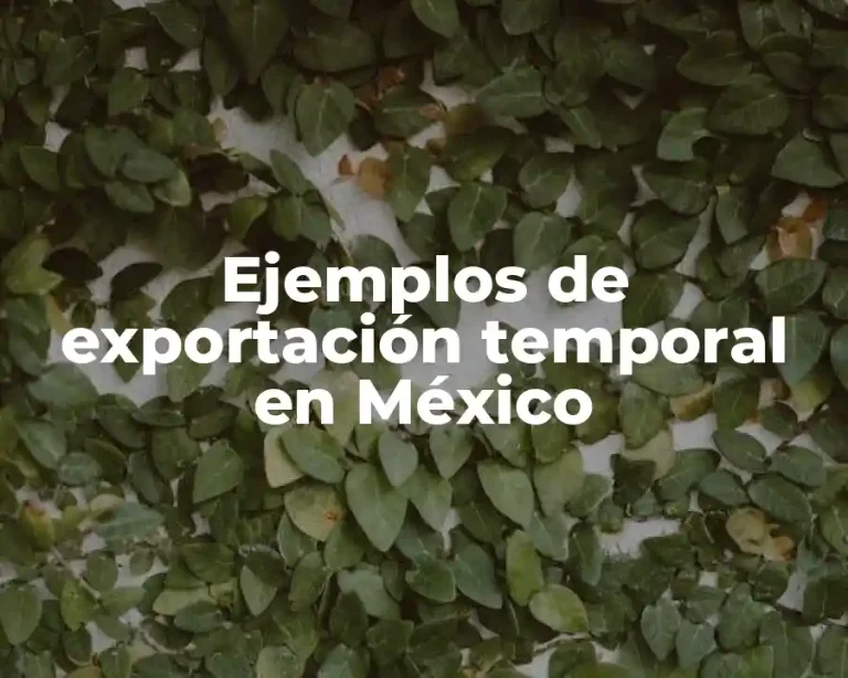 Ejemplos de exportación temporal en México