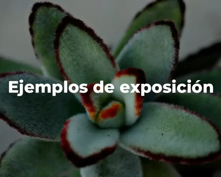 Ejemplos de exposición