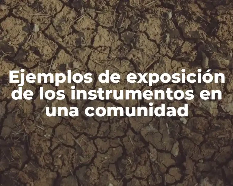 Ejemplos de exposición de los instrumentos en una comunidad