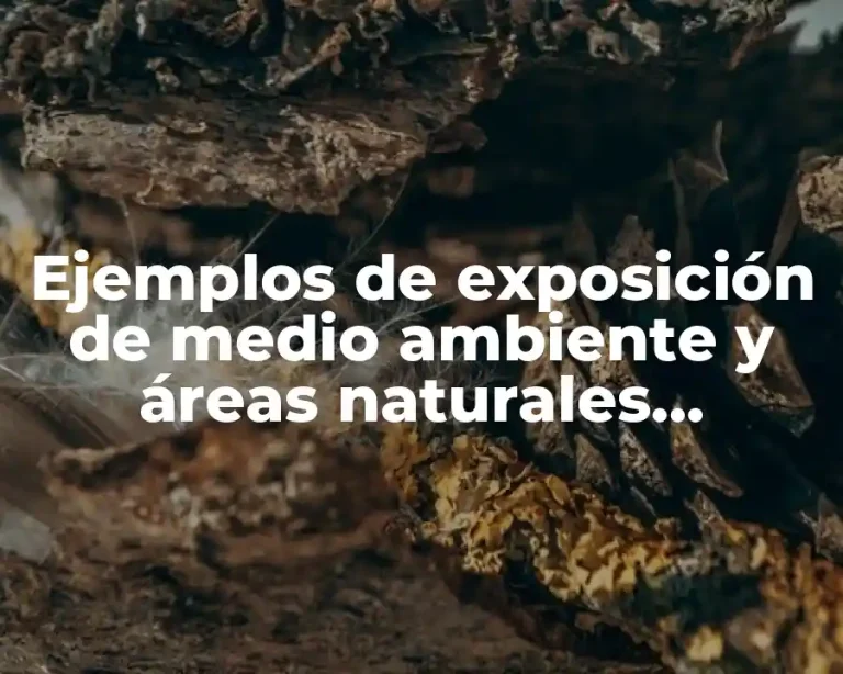 Ejemplos de exposición de medio ambiente y áreas naturales protegidas
