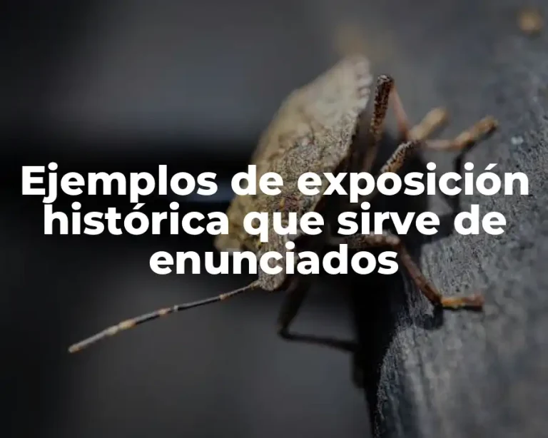 Ejemplos de exposición histórica que sirve de enunciados