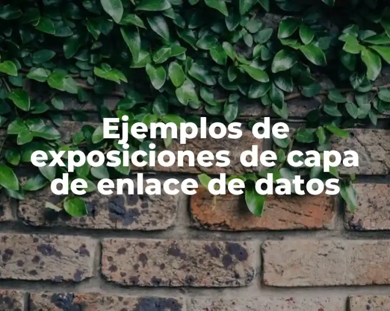 Ejemplos de exposiciones de capa de enlace de datos