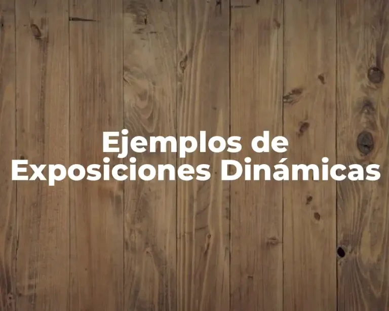 Ejemplos de Exposiciones Dinámicas