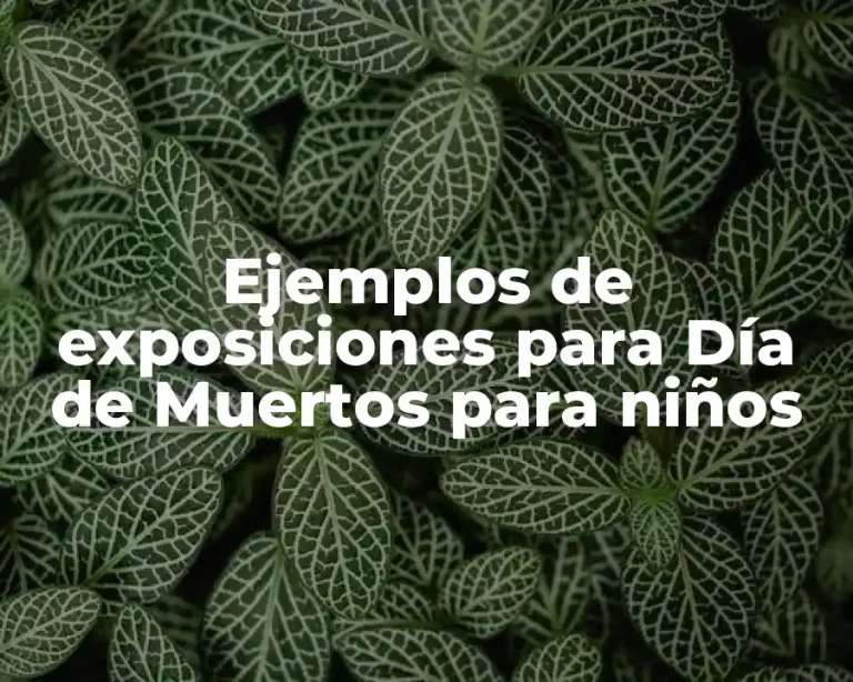 Ejemplos de exposiciones para Día de Muertos para niños