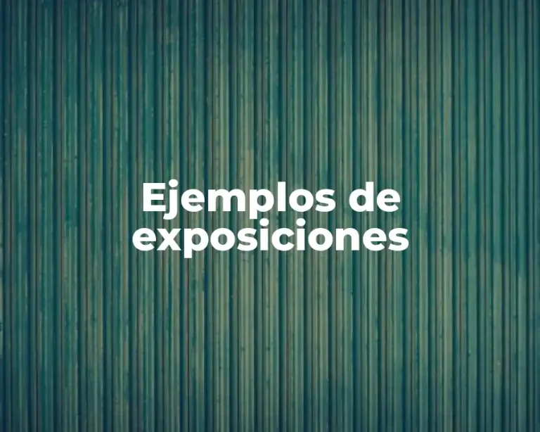 Ejemplos de exposiciones