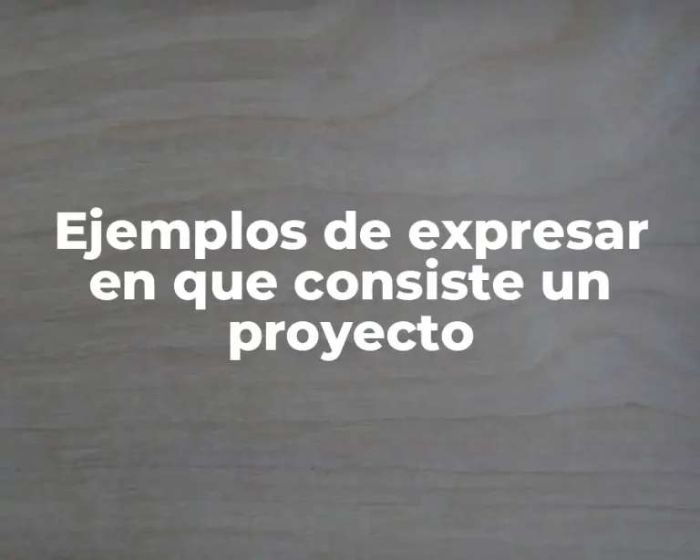 Ejemplos de expresar en que consiste un proyecto